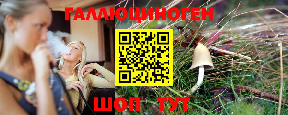 Псилоцибиновые грибы MAGIC MUSHROOMS Нефтекумск
